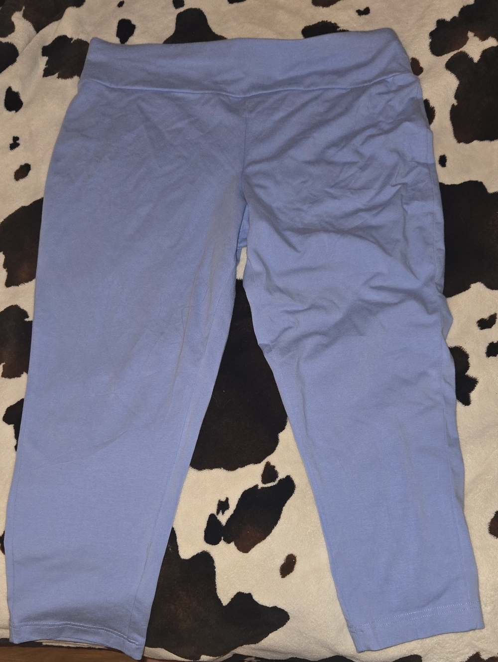 Terra & Sky Light Blue Capri Leggings